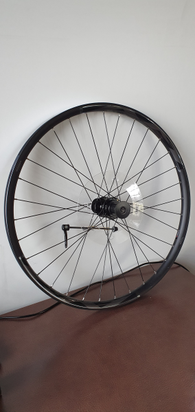 Giant Laufrad HR 622-30 Liv Embolden 12-Fach