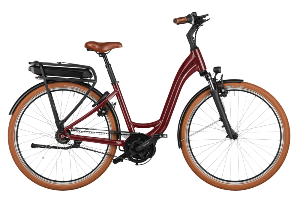 Riese & Müller Swing4 silent Testbike