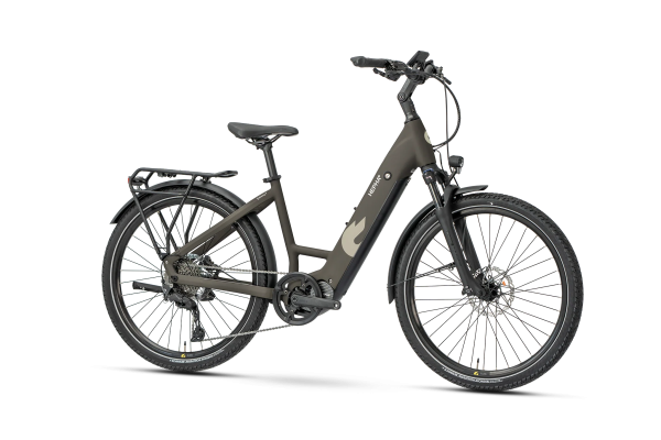 E-Trekkingbike