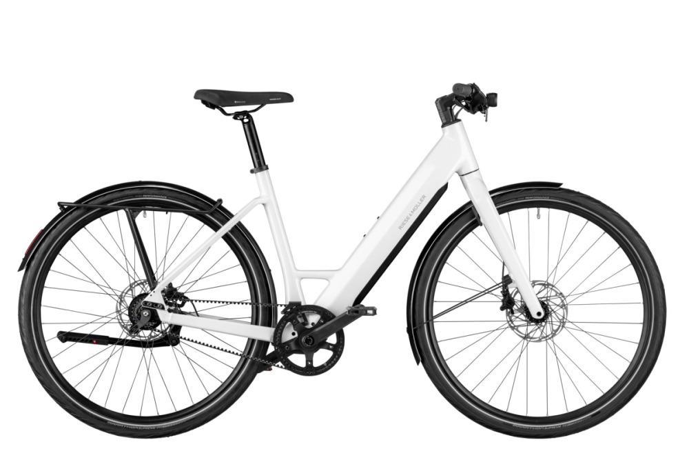 Riese & Müller UBN Six silent Testbike